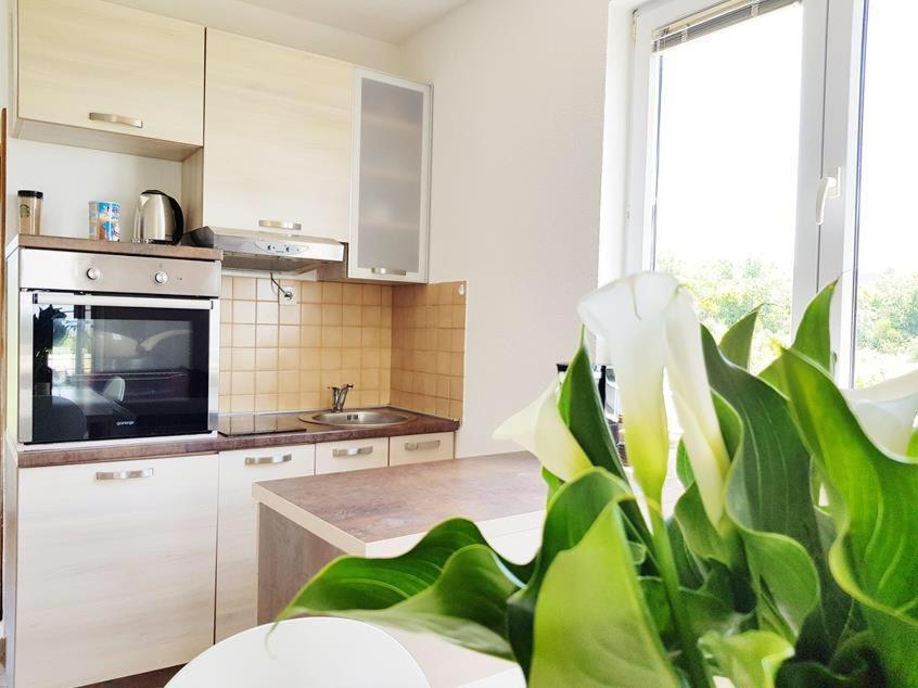 Vila Talija Krimovica Apartment